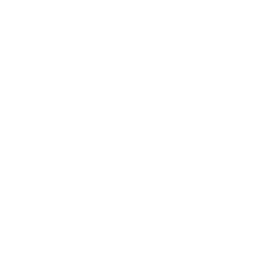 VOICE