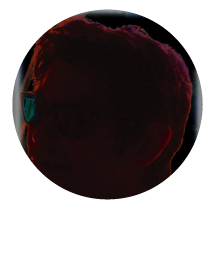 TADASHI YABE