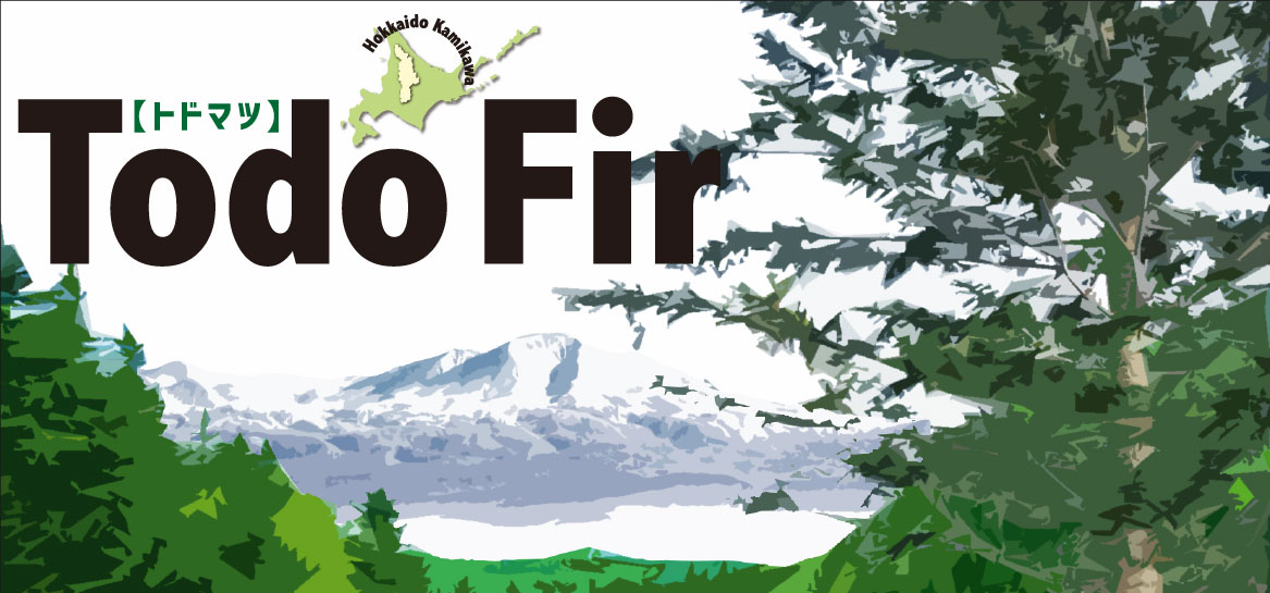 「To do Fir」丸の内で北海道の樹 トドマツに触れる