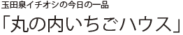 玉田泉イチオシの今日の一品 「丸の内いちごハウス」