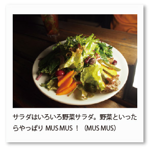 サラダはいろいろ野菜サラダ。野菜といった らやっぱりMUS MUS！（MUS MUS）